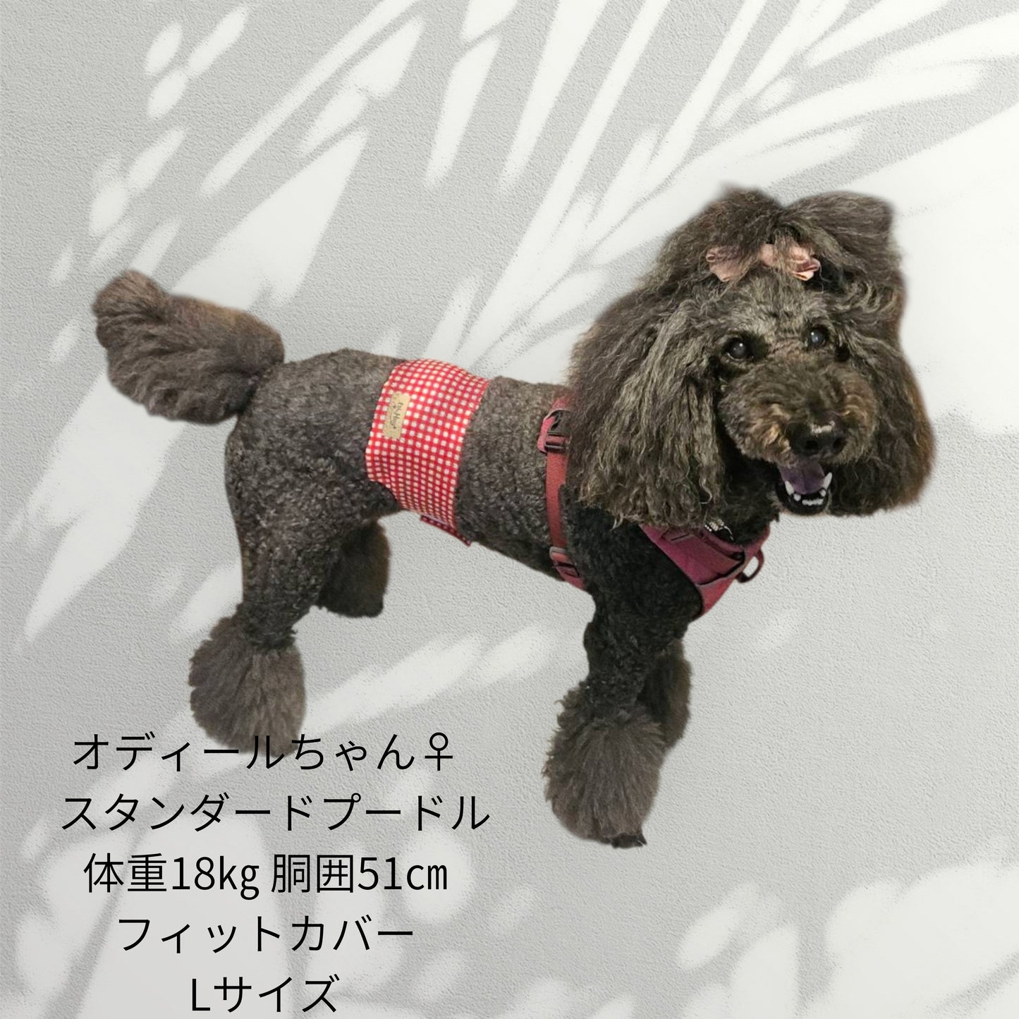 わんぽかフィットカバー