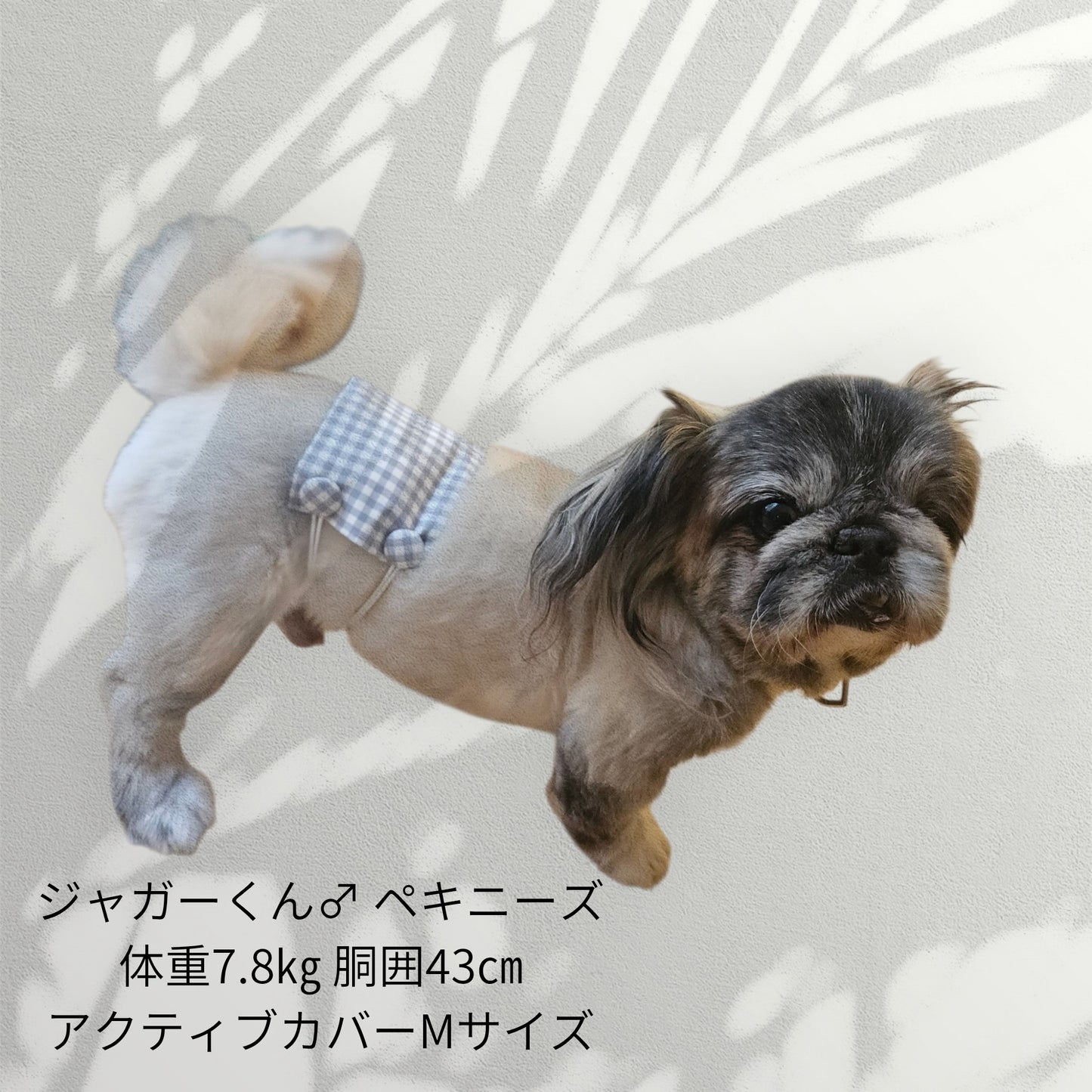 わんぽかアクティブカバー