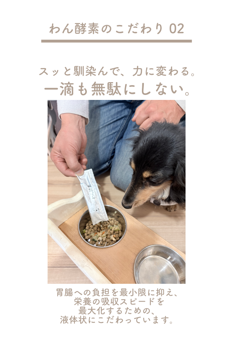 【初回限定】わん酵素(トータルサポート)限定モニターセット
