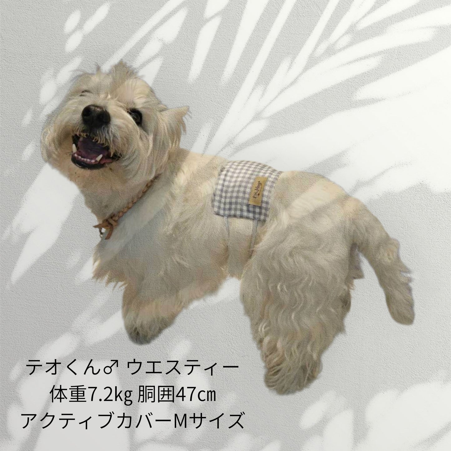 わんぽかアクティブカバー