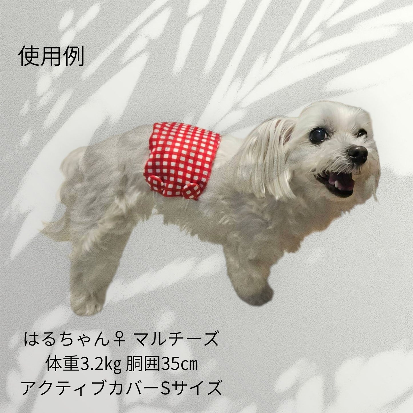わんぽか(米ぬかカイロ)