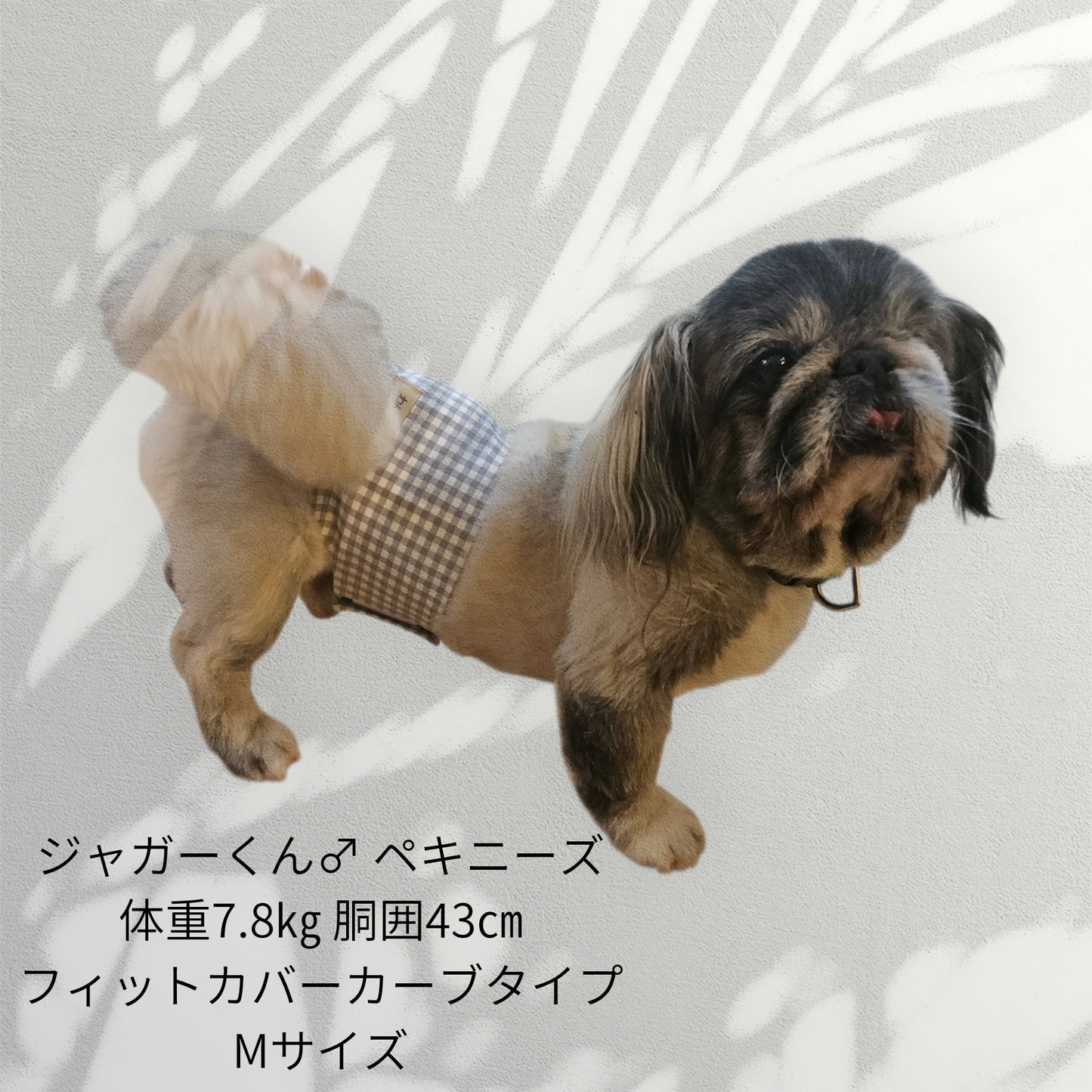 わんぽかフィットカバー