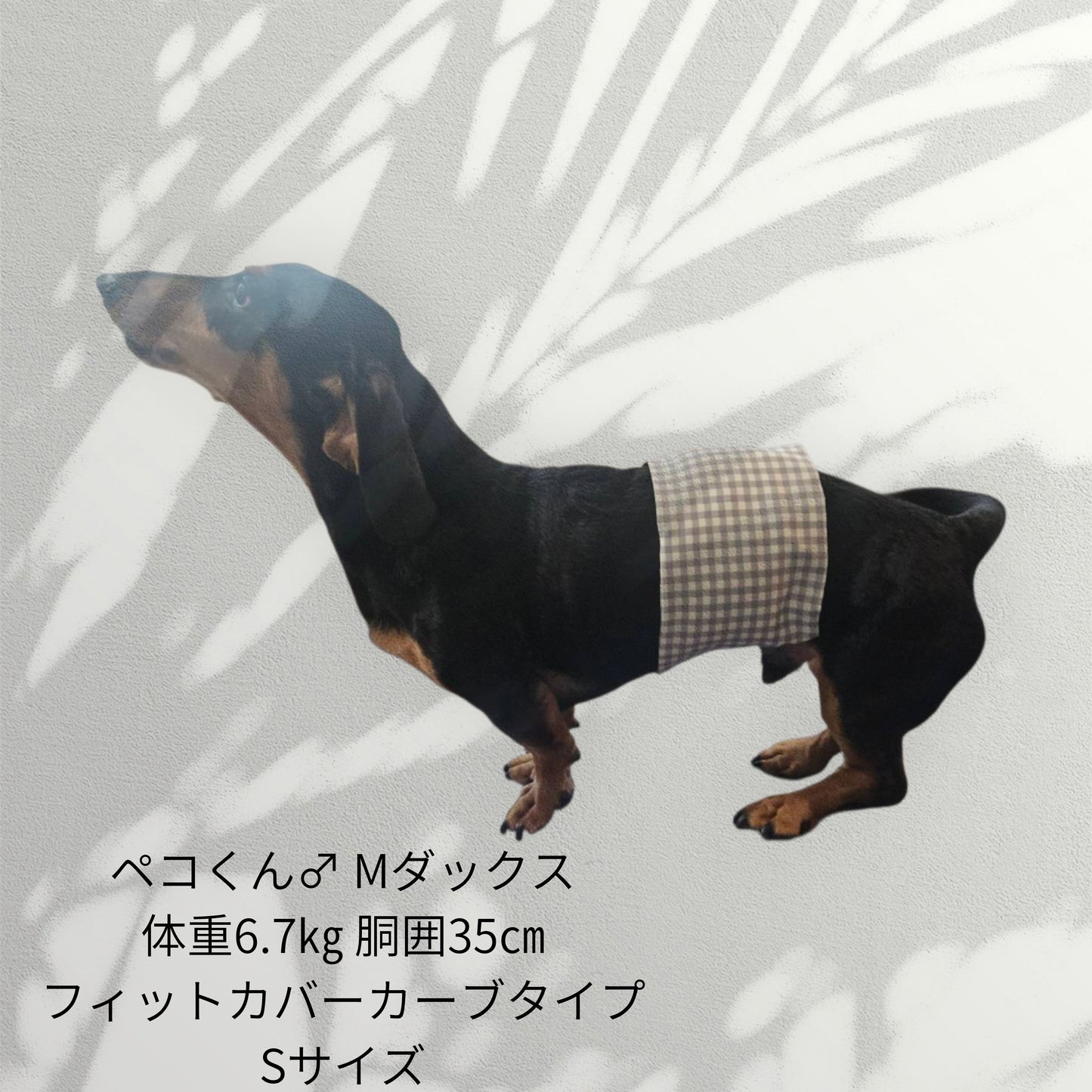 わんぽかフィットカバー