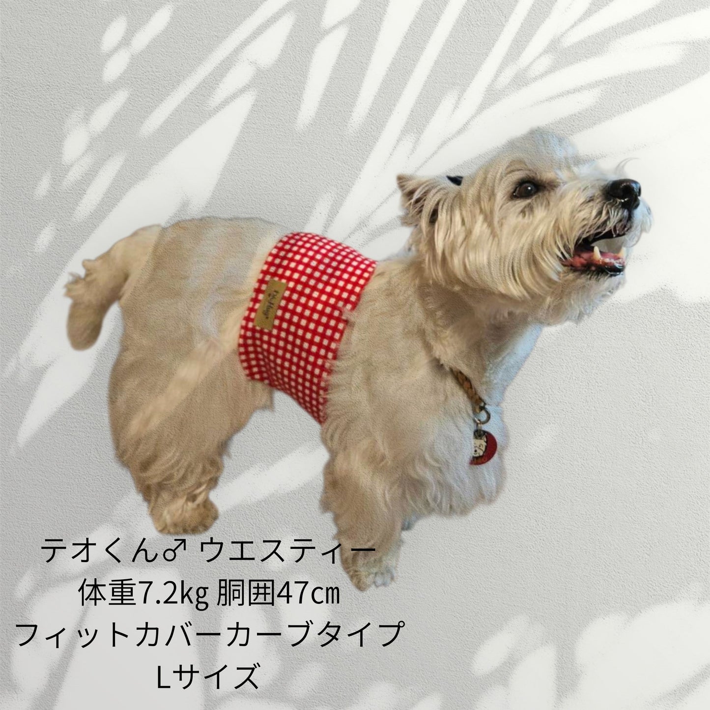 わんぽかフィットカバー