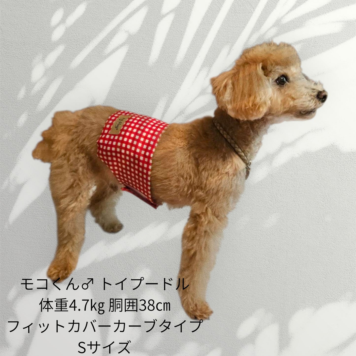 わんぽかフィットカバー
