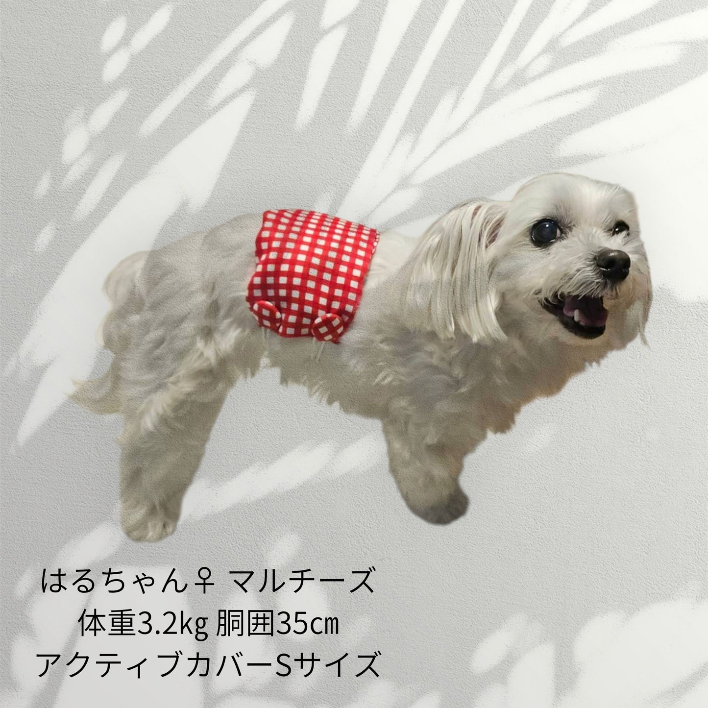 わんぽかアクティブカバー