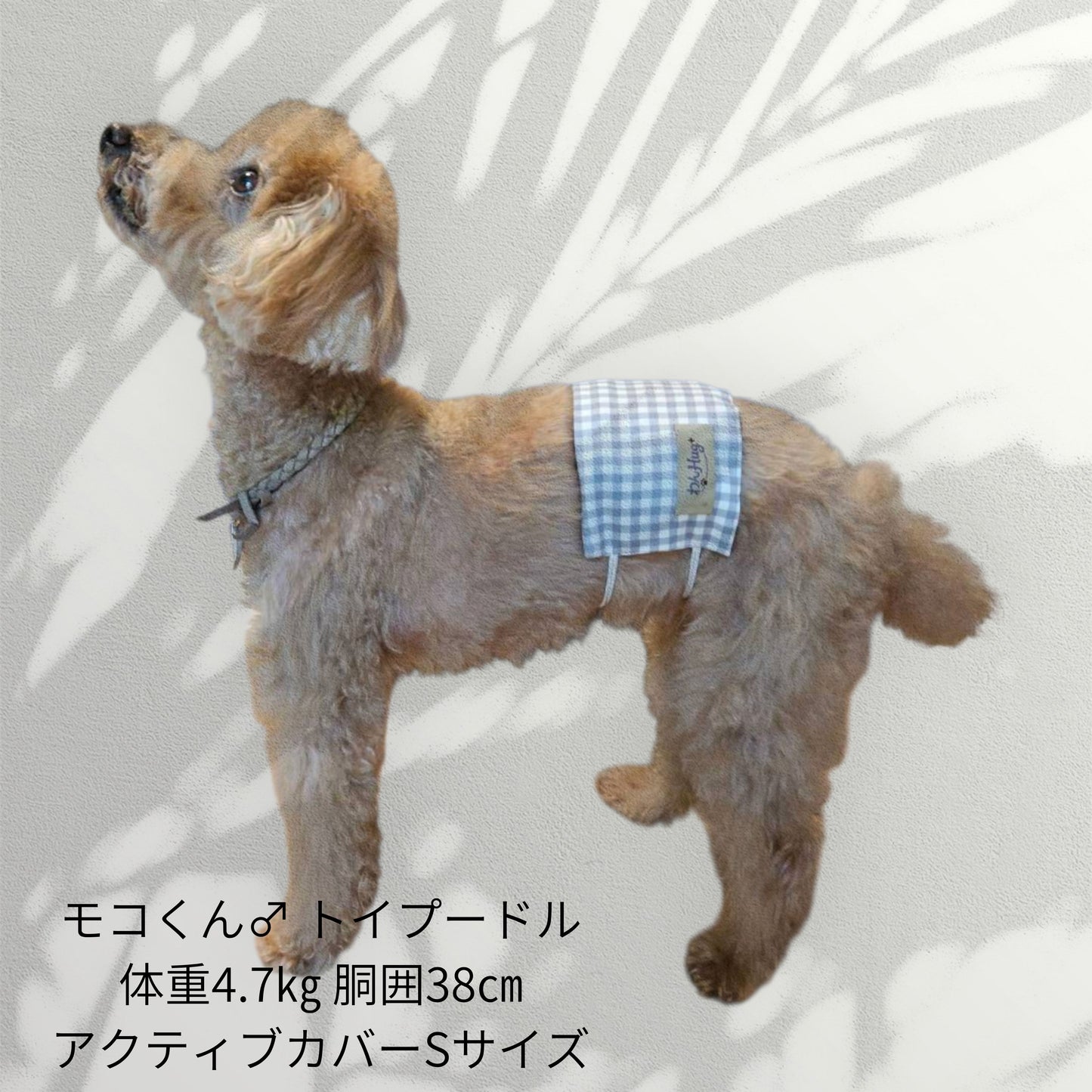 わんぽかアクティブカバー