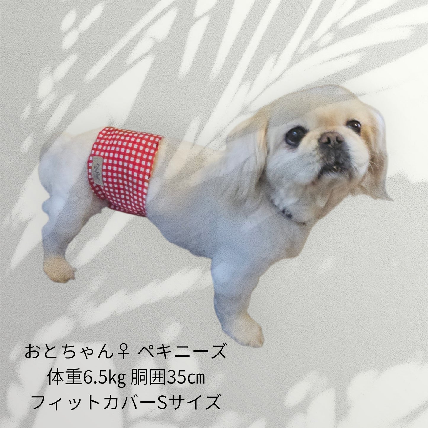わんぽかフィットカバー