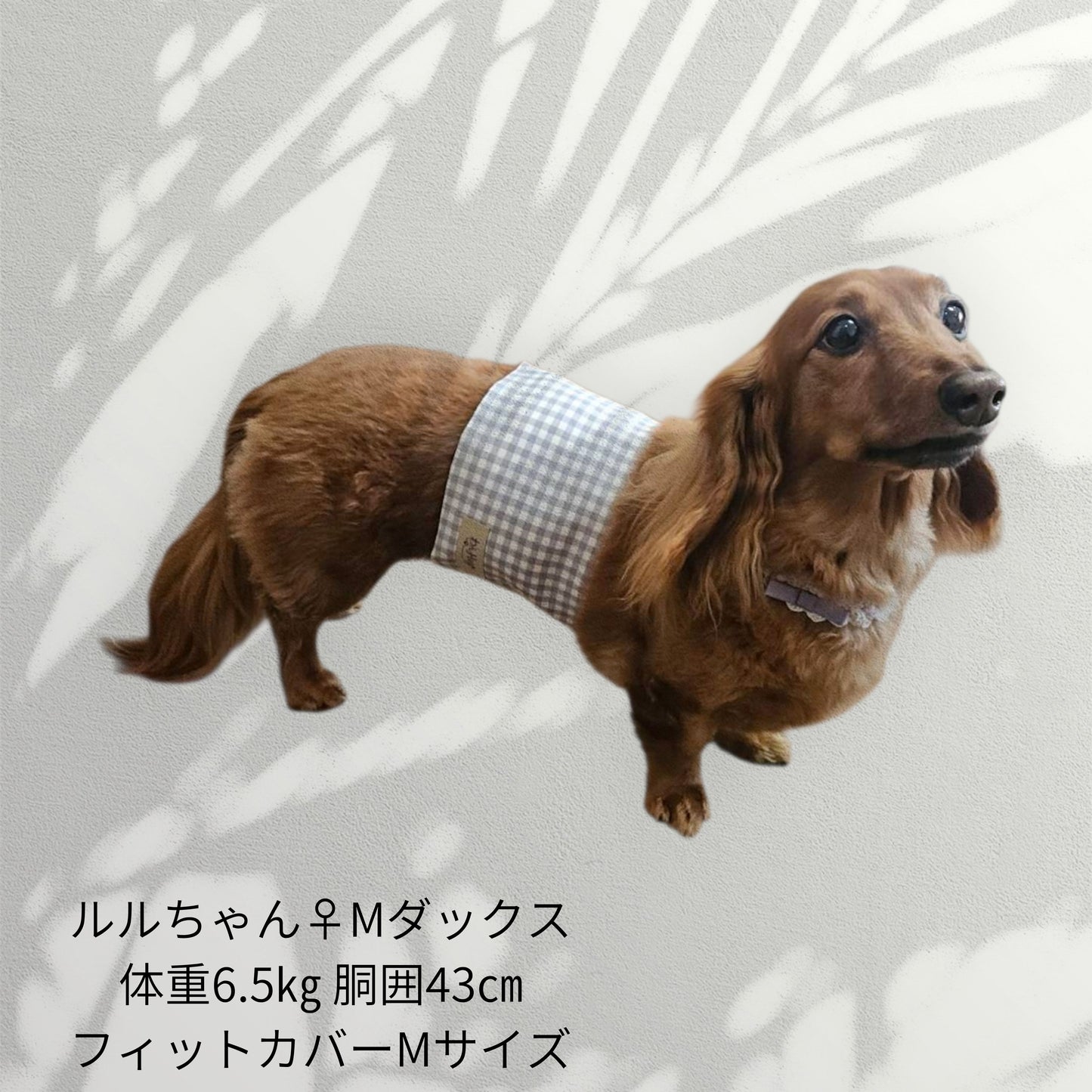 わんぽかフィットカバー