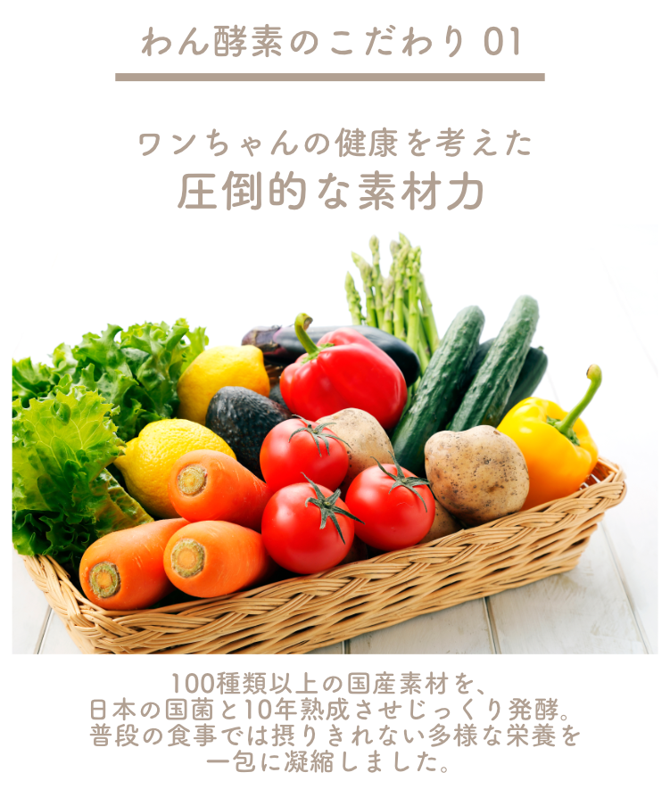 わん酵素（トータルサポート）