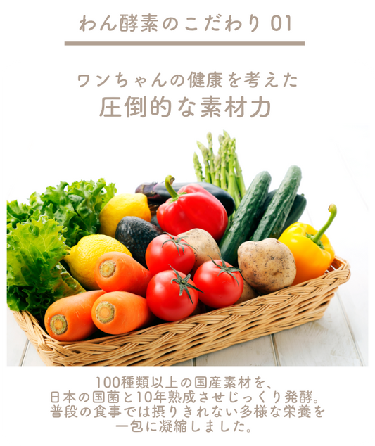わん酵素（腎臓サポート）